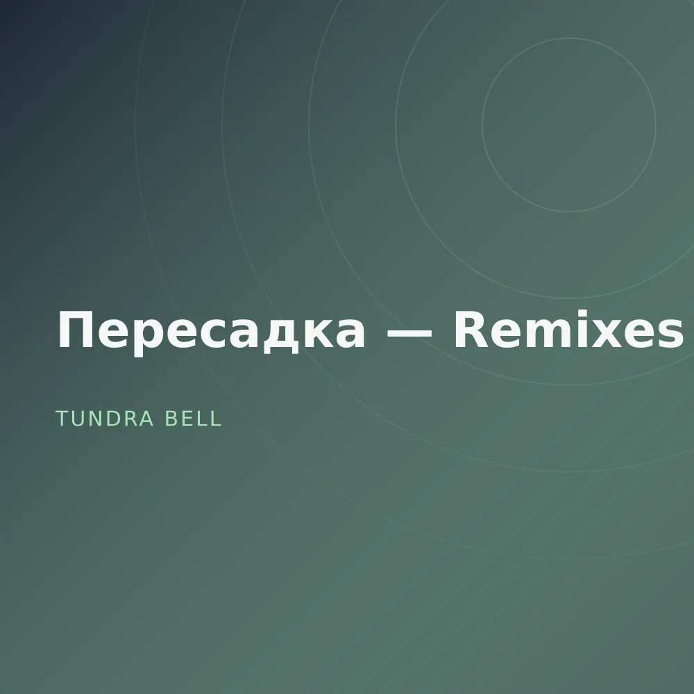 Пересадка — Remixes