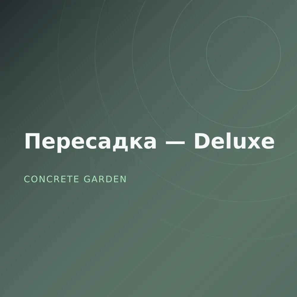 Пересадка — Deluxe