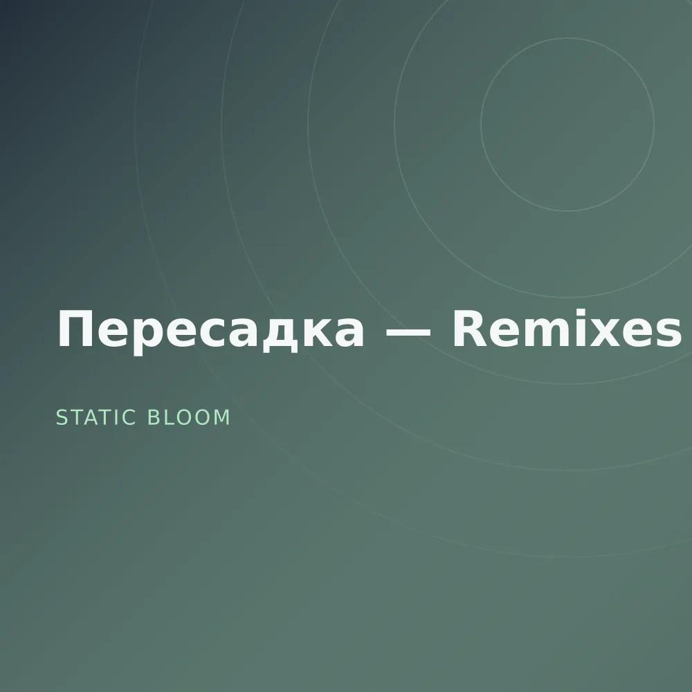 Пересадка — Remixes
